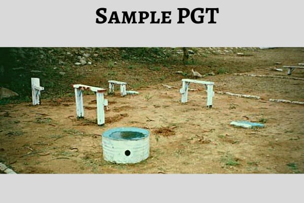 Sample Progressive Group Task (PGT)
