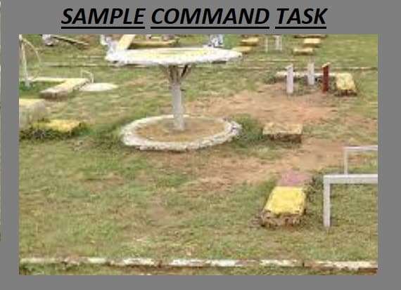 Some Sample Command Task
